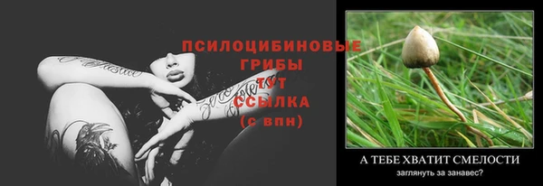 2c-b Корсаков