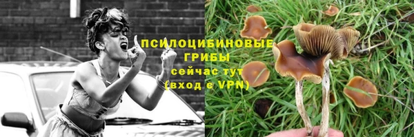 PSILOCYBIN Мензелинск