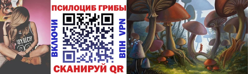 блэк спрут как войти  Магнитогорск  Галлюциногенные грибы Psilocybine cubensis 