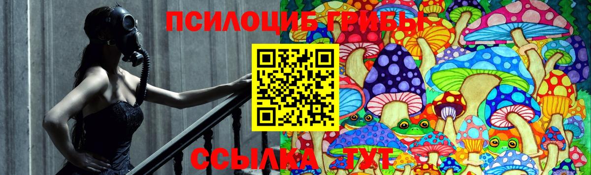 Галлюциногенные грибы Psilocybine cubensis Магнитогорск