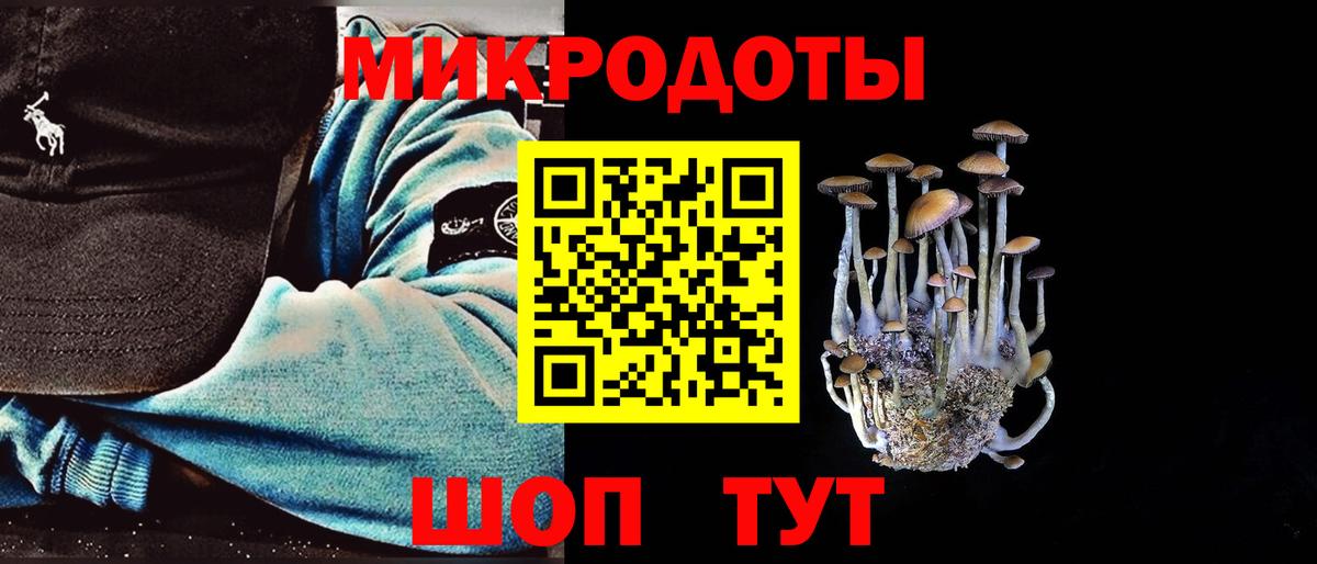 Псилоцибиновые грибы Psilocybe  Вход с VPN  Магнитогорск  Псилоцибиновые грибы ЛСД 
