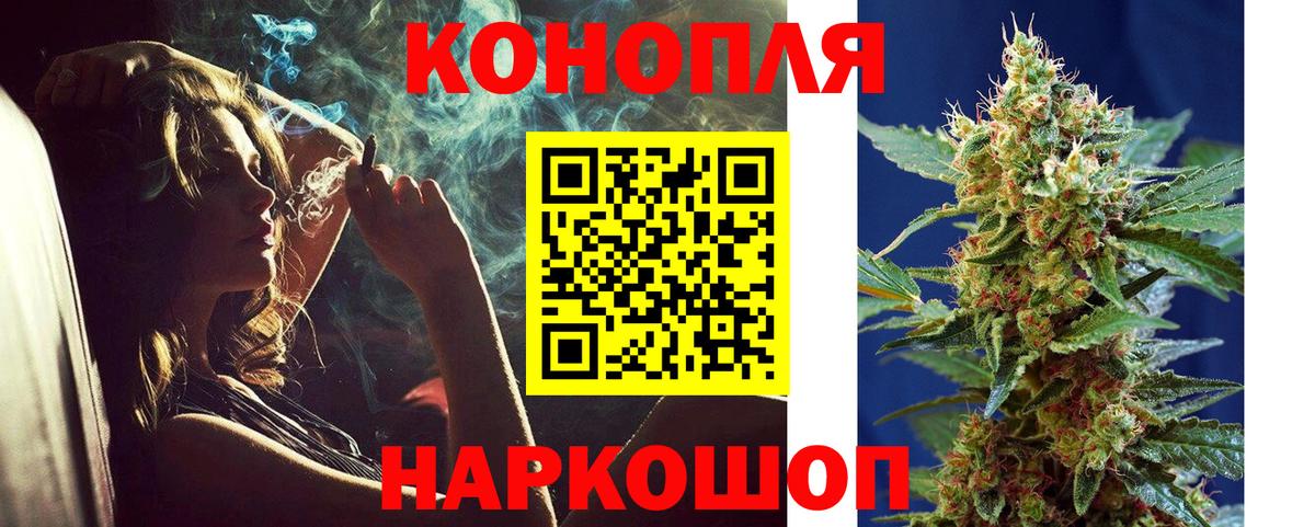 Конопля гибрид Магнитогорск